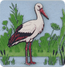 Weißstorch