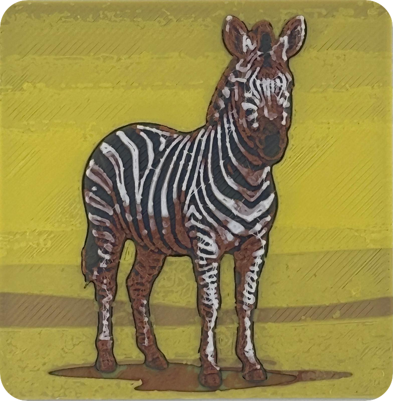 Zebra