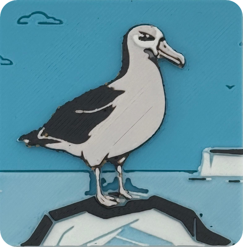 Albatros