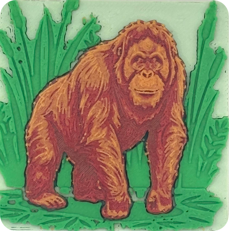 Orang-Utan