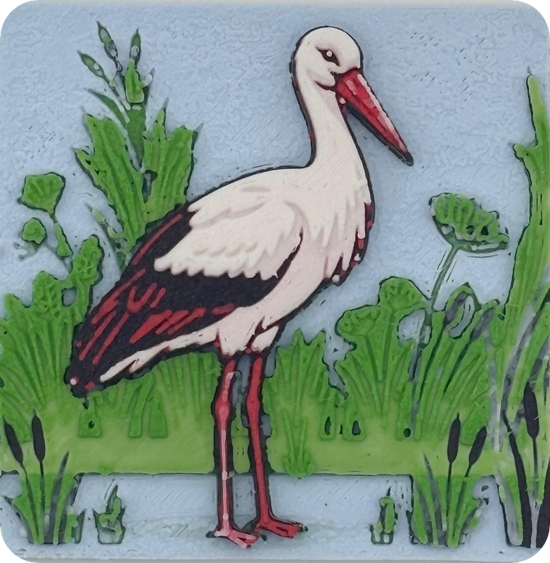 Weißstorch
