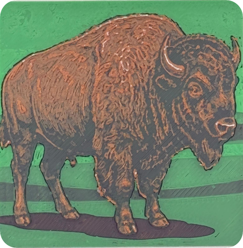 Bison